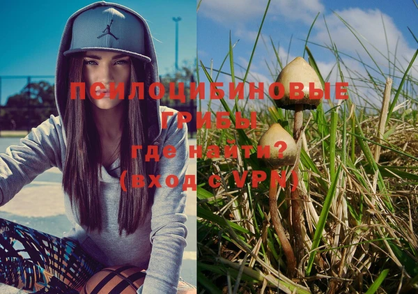 мдма Осинники