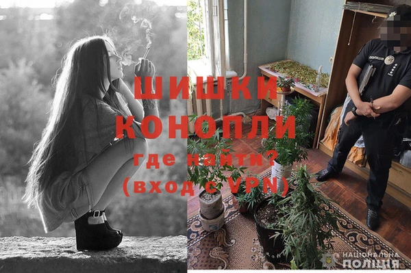 Альфа ПВП Нягань