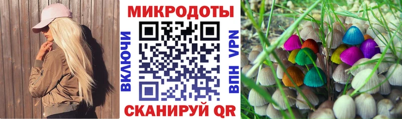 Псилоцибиновые грибы Cubensis  Купить где  Кострома 