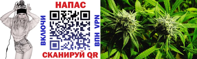 Купить  Кострома  Шишки марихуана планчик 